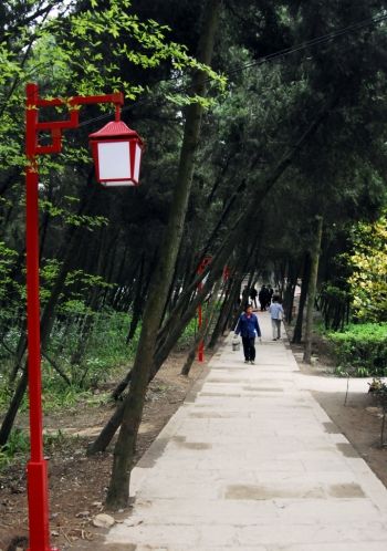 路灯照亮西山景区林间小道