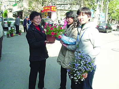 江苏：社区成立花草协会 养育花草盆景赠居民