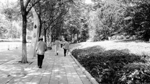 天气炎热，市民享受行道树下带来的荫凉