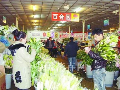 延迟了上花期 婚庆用花量大 北京百合切花价格翻倍涨