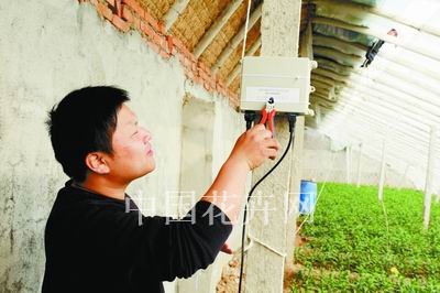 图为辽宁省农科院网络中心的工作人员正在为百合大棚安装无线实时数据采集系统。