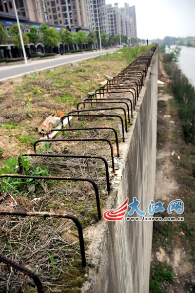 南昌红谷南大道一河道两旁未装护栏，如果市民不小心失足，后果不堪设想。