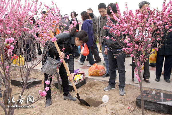 天津憩园举行第7次植树葬免费赠送可降解骨灰盒