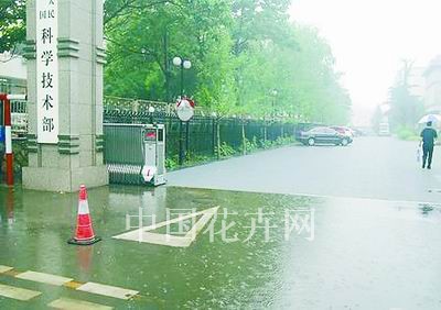 图为透水铺装与普通路面在雨中的对比效果。（画面上方为透水铺装，下方为普通路面）