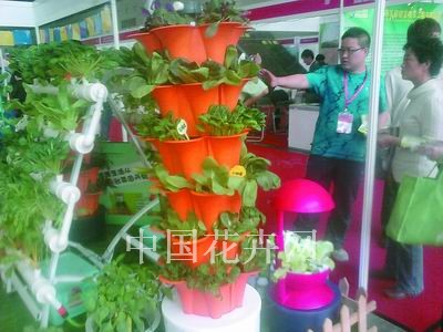 家庭园艺产品亮相现代农业展（图）
