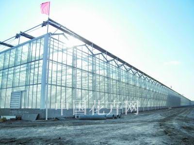 天津大顺一期30万平方米温室即将建成