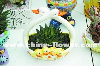 “天鹅交颈”花盆添温馨