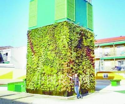 西班牙建成全球首个立方体花园