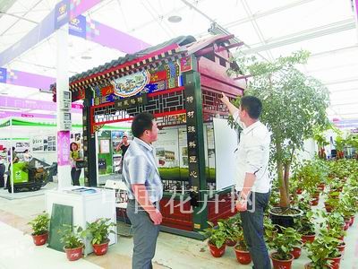 新材料新技术 三天半建成一座仿古亭