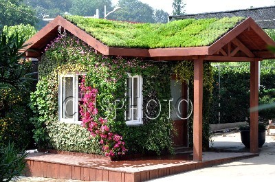色彩斑斓花卉木屋亮相南京街头（图）