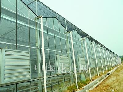 宿迁市：瑞信连栋温室即将建成