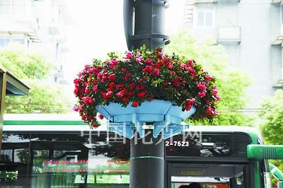 灯杆绿化让灯杆活起来