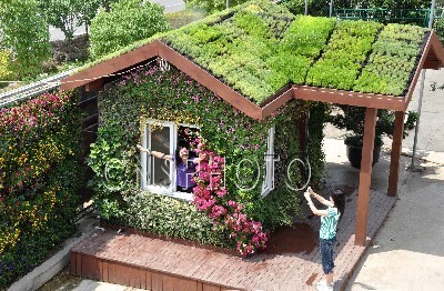色彩斑斓花卉木屋亮相南京街头（图）