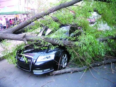 被砸中的奥迪轿车