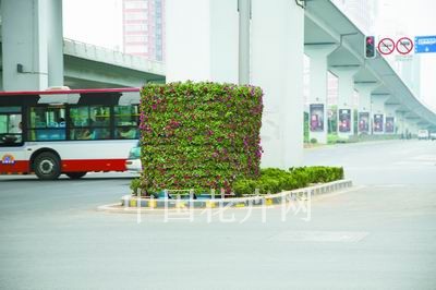 桥体立柱绿化效果