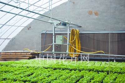 自动洒水车优化日光温室性能