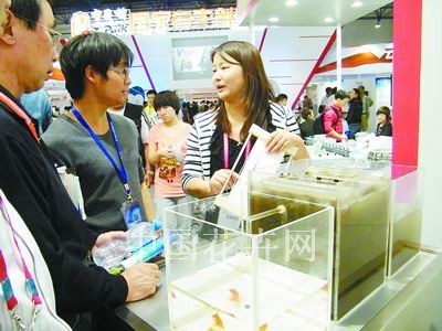净化景观水的系统北京科博会上引关注