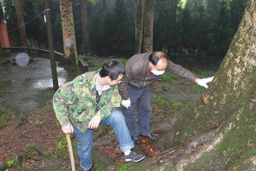 四川雅安荥经县加强对白蚁等林业有害生物防治 