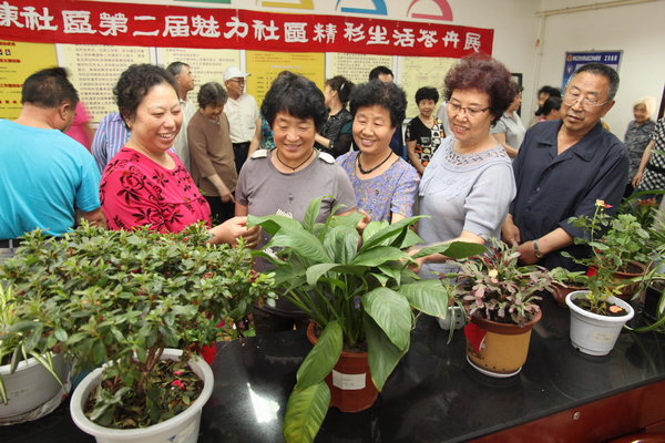 辽宁：顺城区举办魅力社区精彩生活花卉盆景展