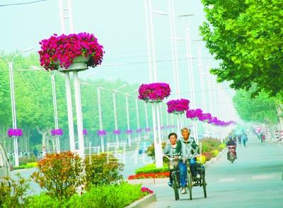 山东：“空中花篮”为城市添景（图）