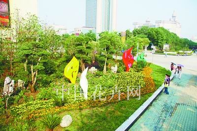 武汉园林小景竞赛 街头小品靓丽亮相