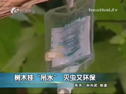 江苏徐州园林树木挂“吊水”灭虫环保两相宜