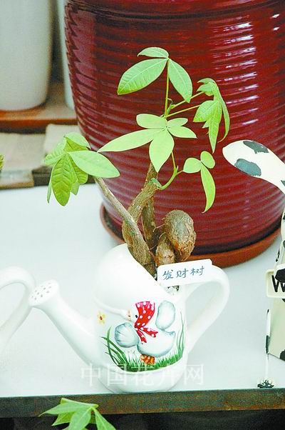 浇花壶造型花盆