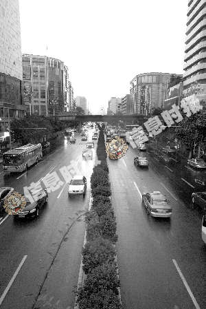 东风路车流量大，沿线主要以全绿色的植物为主，时花较少。