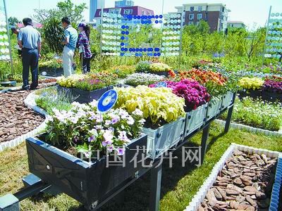天津“低碳花园展” 变废为宝巧利用