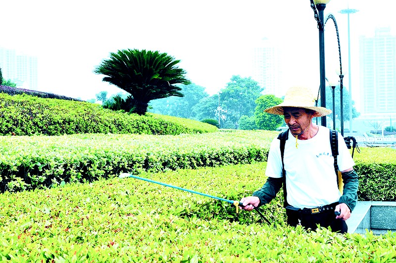 高温天气 岳阳市园林部门确保树木花草生长