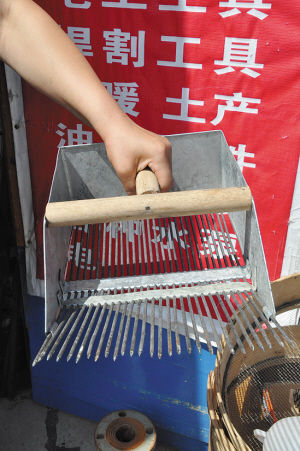 救救哭泣的野生蓝莓