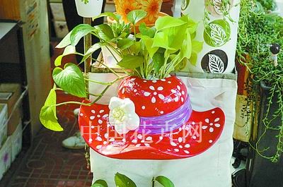 壁挂式盆器太阳帽花盆