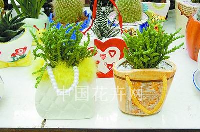 皮包造型花盆