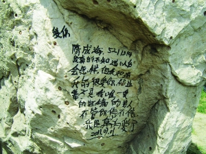 景观石上的“文身”。