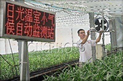 2011年7月22日，青州市良田花卉公司的技术人员在观看“日光温室小气候自动监测站”。 