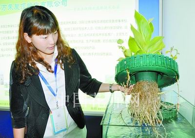 新型水生植物种植浮床亮相南京（图）