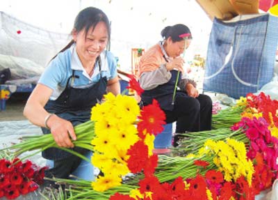 广西：凌云花卉产业作为助农增收的新兴产业