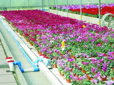 自建实用型潮汐式灌溉系统（图）