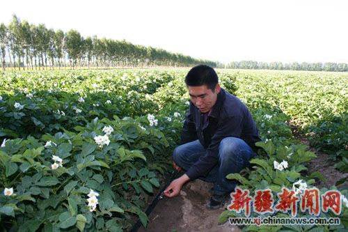 农四师团场40余万元首次推广加压滴灌新技术