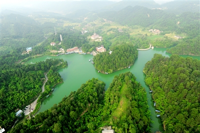 重庆：双桥 “国际鲜花港”带动特色旅游村