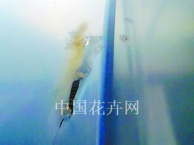日光温室覆盖材料 薄膜的使用与保养