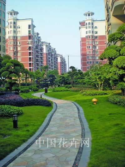 线型和铺装面层形式是体现园路景观特色的重要元素。