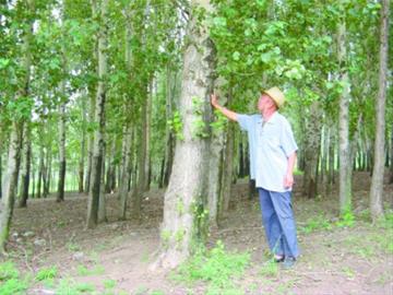 辽宁：植树8万多棵 “绿化愚公”屈长友28年坚守那片绿