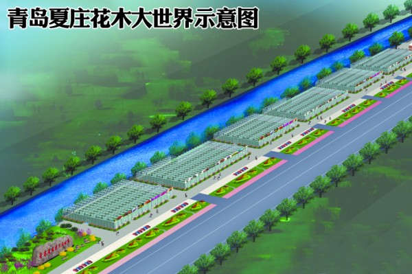 城阳将建青岛最大花木市场