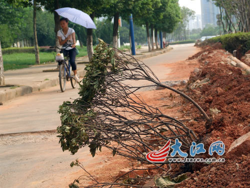 “没有土壤的日子，我很害怕！”