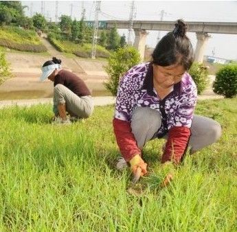 工人正在给道路“美容”