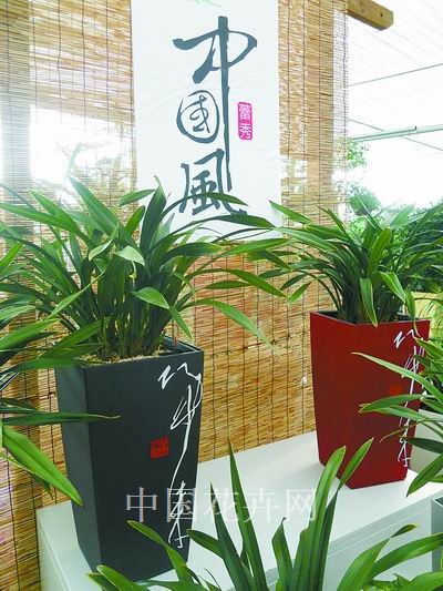与风雅国兰相宜的“中国风”蕾秀花盆（图）
