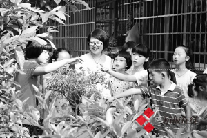 暑期争当护绿小使者