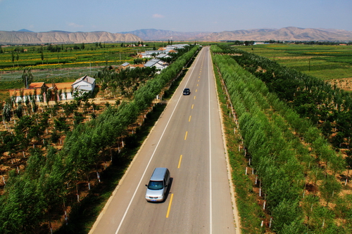 车辆行驶在通往须弥山景区的林荫道路上