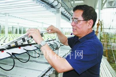 上海孙桥农业示范园巧妙设计细节省工省地